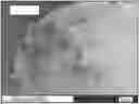 Fig. 01 - Pigmented polymer particles and methods of production and uses thereof