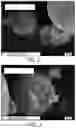Fig. 03 - Pigmented polymer particles and methods of production and uses thereof