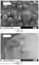 Fig. 05 - Pigmented polymer particles and methods of production and uses thereof