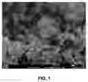 Fig. 02 - Particles Containing Titanate Compound, Method for Producing Particles Containing Titanate Compound, and Friction Material