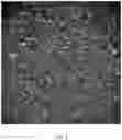 Fig. 02 - Coating Composition Providing An Anodized Appearance