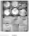 Fig. 07 - Aqueous composition and a method of producing durable and extremely efficient water repelling superhydrophobic materials at ambient condition thereof