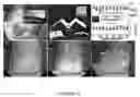 Fig. 08 - Aqueous composition and a method of producing durable and extremely efficient water repelling superhydrophobic materials at ambient condition thereof