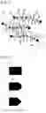 Fig. 03 - PHOTOCHROMIC OPTICAL ARTICLE AND METHOD FOR MANUFACTURING SAME