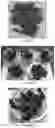 Fig. 08 - Melt-flowable extracts from biomass as a selective additive for agglomerated biomass with binding and moisture resistance properties