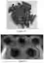 Fig. 10 - Melt-flowable extracts from biomass as a selective additive for agglomerated biomass with binding and moisture resistance properties