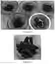 Fig. 13 - Melt-flowable extracts from biomass as a selective additive for agglomerated biomass with binding and moisture resistance properties