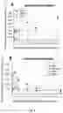 Fig. 05 - FLUID SYSTEM FOR PRODUCING EXTRACELLULAR VESICLES COMPRISING A THERAPEUTIC OR IMAGING AGENT AND METHOD THEREOF