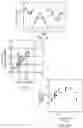 Fig. 11 - CONTROL OF NITROGEN FIXATION IN RHIZOBIA THAT ASSOCIATE WITH CEREALS