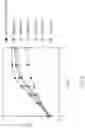 Fig. 23 - CONTROL OF NITROGEN FIXATION IN RHIZOBIA THAT ASSOCIATE WITH CEREALS