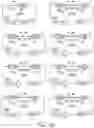 Fig. 31 - CONTROL OF NITROGEN FIXATION IN RHIZOBIA THAT ASSOCIATE WITH CEREALS
