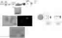 Fig. 01 - INDUCED STEM CELLS