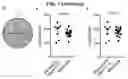 Fig. 03 - INDUCED STEM CELLS