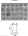 Fig. 13 - INDUCED STEM CELLS