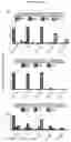 Fig. 18 - INDUCED STEM CELLS