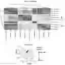 Fig. 19 - INDUCED STEM CELLS