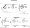 Fig. 24 - INDUCED STEM CELLS