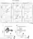 Fig. 25 - INDUCED STEM CELLS