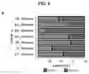 Fig. 28 - INDUCED STEM CELLS