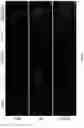 Fig. 48 - INDUCED STEM CELLS
