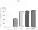 Fig. 04 - Nonviral Modification of T Cell Gene Expression