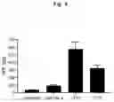 Fig. 05 - Nonviral Modification of T Cell Gene Expression