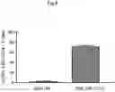 Fig. 09 - Nonviral Modification of T Cell Gene Expression