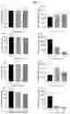 Fig. 12 - Nonviral Modification of T Cell Gene Expression