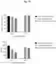 Fig. 17 - Nonviral Modification of T Cell Gene Expression