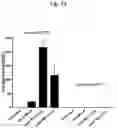 Fig. 22 - Nonviral Modification of T Cell Gene Expression