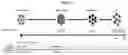 Fig. 02 - Method of generating hemangioblasts