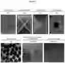 Fig. 03 - Method of generating hemangioblasts