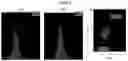 Fig. 05 - Method of generating hemangioblasts
