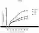 Fig. 09 - Method of generating hemangioblasts