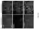 Fig. 04 - Methods, compositions, and kits for producing beige adipocytes and treating metabolic disorders