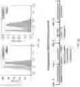 Fig. 09 - Methods, compositions, and kits for producing beige adipocytes and treating metabolic disorders
