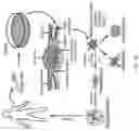 Fig. 46 - Methods, compositions, and kits for producing beige adipocytes and treating metabolic disorders