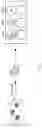 Fig. 55 - Methods, compositions, and kits for producing beige adipocytes and treating metabolic disorders