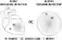 Fig. 01 - MYOCARDIAL ORGANOIDS AND METHODS OF MAKING AND USES THEREOF