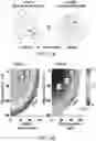 Fig. 02 - MYOCARDIAL ORGANOIDS AND METHODS OF MAKING AND USES THEREOF