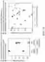 Fig. 05 - MYOCARDIAL ORGANOIDS AND METHODS OF MAKING AND USES THEREOF