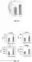 Fig. 10 - MYOCARDIAL ORGANOIDS AND METHODS OF MAKING AND USES THEREOF