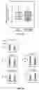 Fig. 13 - MYOCARDIAL ORGANOIDS AND METHODS OF MAKING AND USES THEREOF