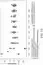 Fig. 16 - MYOCARDIAL ORGANOIDS AND METHODS OF MAKING AND USES THEREOF