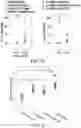 Fig. 18 - MYOCARDIAL ORGANOIDS AND METHODS OF MAKING AND USES THEREOF
