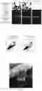 Fig. 03 - THREE-DIMENSIONAL CULTURE METHOD FOR LARGE-SCALE PREPARATION OF STEM CELLS