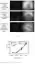 Fig. 07 - THREE-DIMENSIONAL CULTURE METHOD FOR LARGE-SCALE PREPARATION OF STEM CELLS