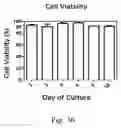 Fig. 17 - THREE-DIMENSIONAL CULTURE METHOD FOR LARGE-SCALE PREPARATION OF STEM CELLS