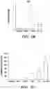 Fig. 07 - Mammalian somatic cell with modified RNA encoding reprogramming factors