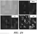 Fig. 09 - Mammalian somatic cell with modified RNA encoding reprogramming factors